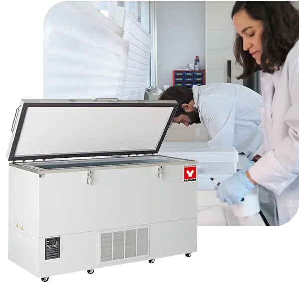 Yamato ultra-low temperature freezer