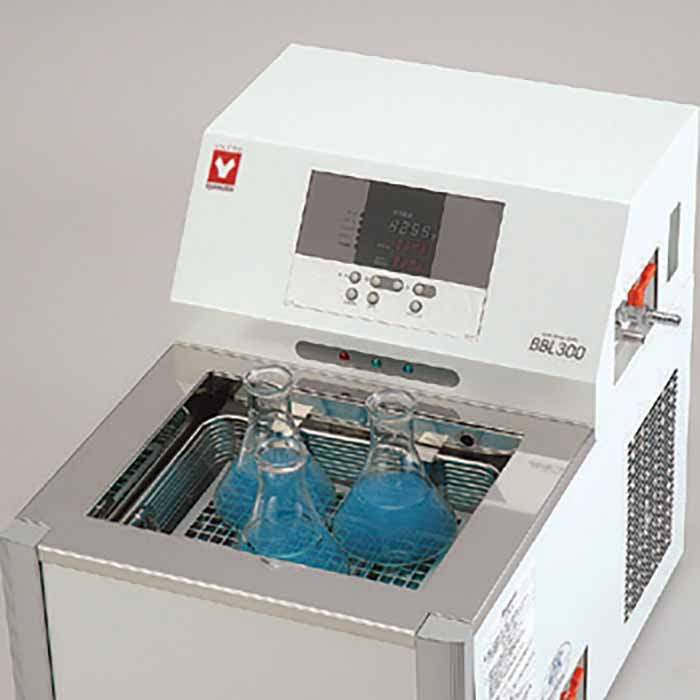 BBL_Page_1_Image_0002