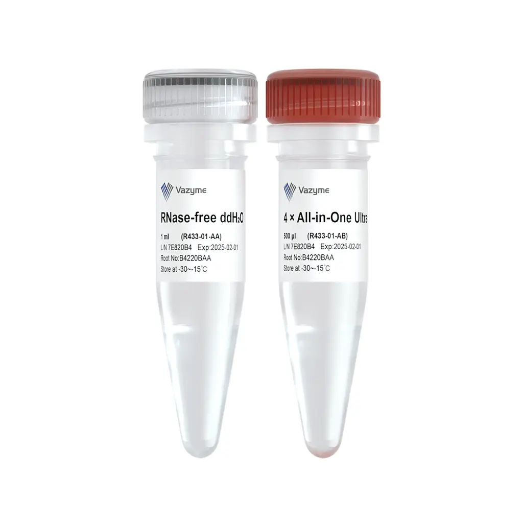 HiScript IV All-in-One Ultra RT SuperMix for qPCR