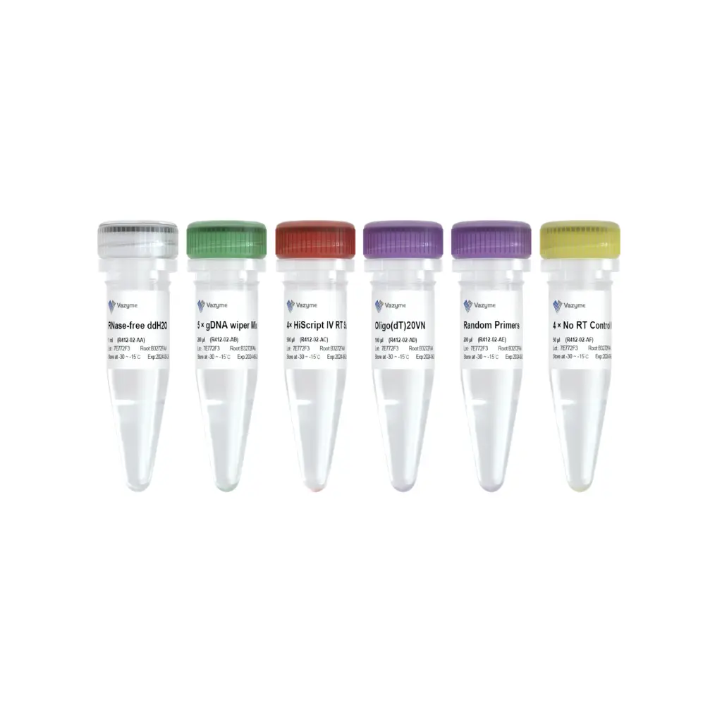 HiScript IV 1st Strand cDNA Synthesis Kit (+gDNA wiper)
