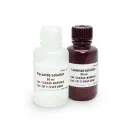 BHCCH385B100ML UltraScence Atto Western Substrate 50ml+50ml