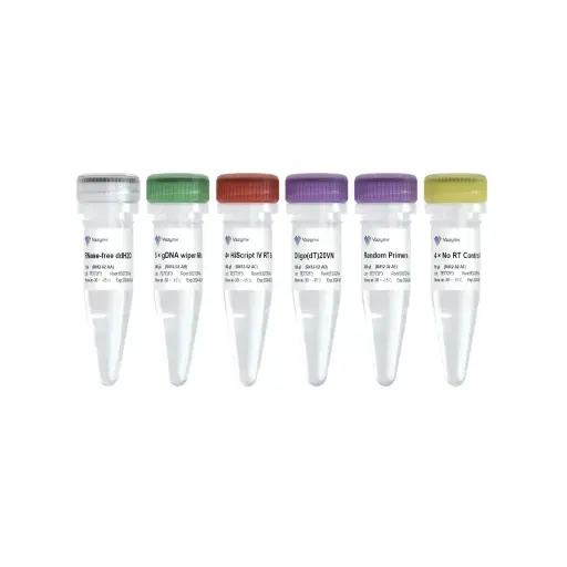 [R412-01] HiScript IV 1st Strand cDNA Synthesis Kit (+gDNA wiper)
