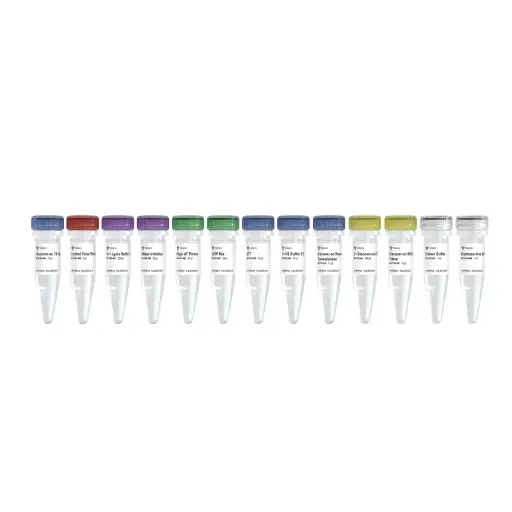[N711-02] Discover-sc WTA Kit V2