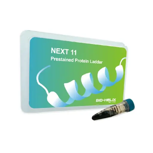 BHPMX110500 NEXT 11 Prestained Protein Ladder (11 bands, 5 colors, 11-250 kDa)