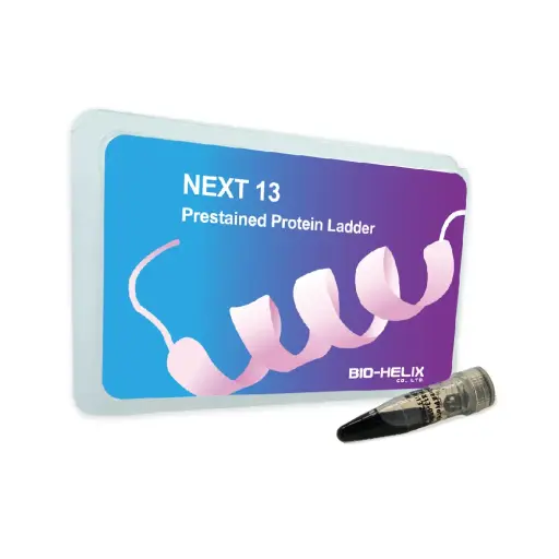 BHPMX130500 NEXT 13 Prestained Protein Ladder (13 bands, 5 colors, 5-250 kDa)